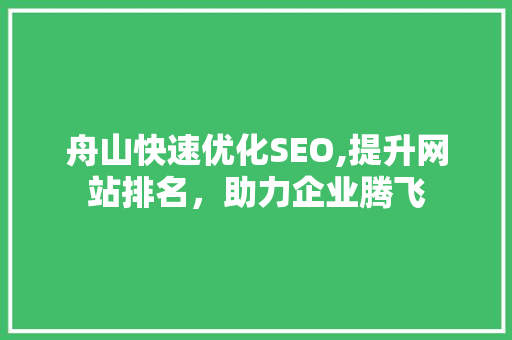 舟山快速优化SEO,提升网站排名，助力企业腾飞