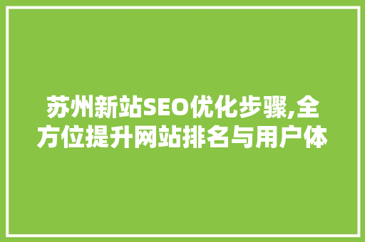 苏州新站SEO优化步骤,全方位提升网站排名与用户体验