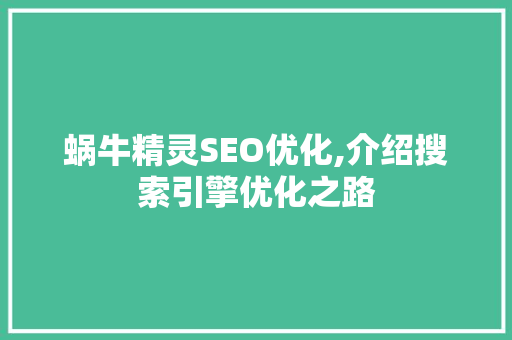 蜗牛精灵SEO优化,介绍搜索引擎优化之路