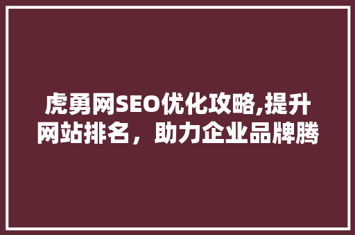 虎勇网SEO优化攻略,提升网站排名，助力企业品牌腾飞