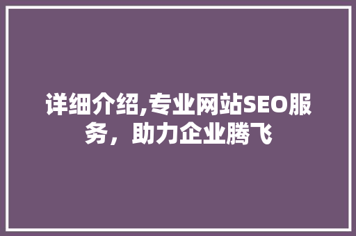 详细介绍,专业网站SEO服务，助力企业腾飞