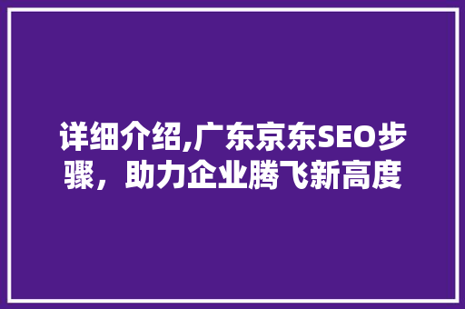 详细介绍,广东京东SEO步骤，助力企业腾飞新高度
