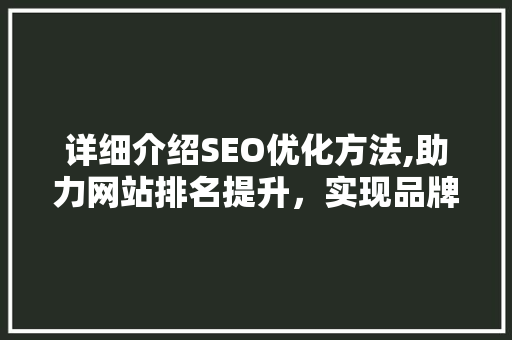 详细介绍SEO优化方法,助力网站排名提升，实现品牌价值最大化