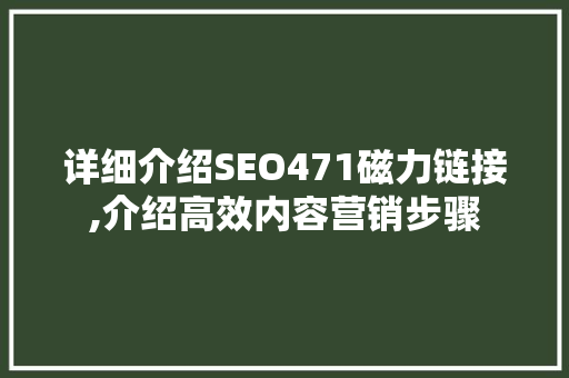 详细介绍SEO471磁力链接,介绍高效内容营销步骤