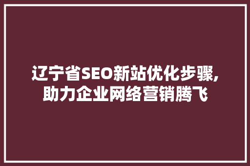 辽宁省SEO新站优化步骤,助力企业网络营销腾飞