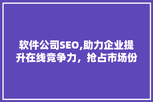 软件公司SEO,助力企业提升在线竞争力，抢占市场份额