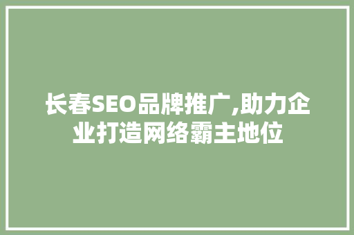 长春SEO品牌推广,助力企业打造网络霸主地位