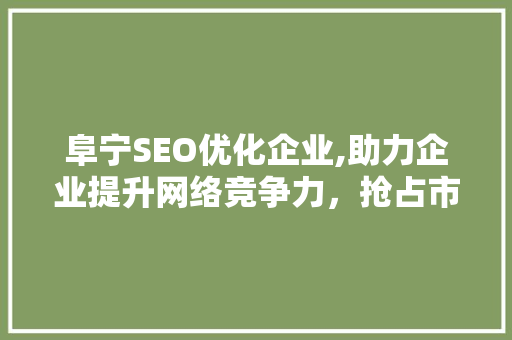 阜宁SEO优化企业,助力企业提升网络竞争力，抢占市场先机