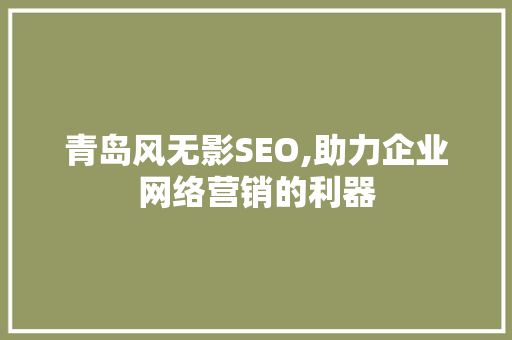 青岛风无影SEO,助力企业网络营销的利器