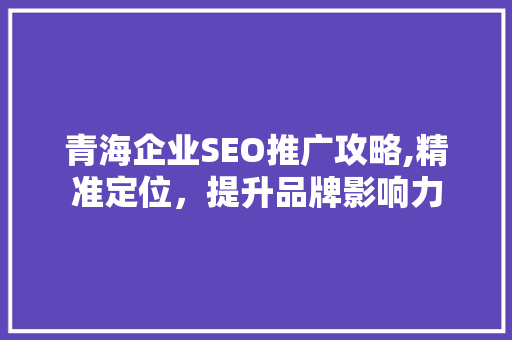 青海企业SEO推广攻略,精准定位，提升品牌影响力