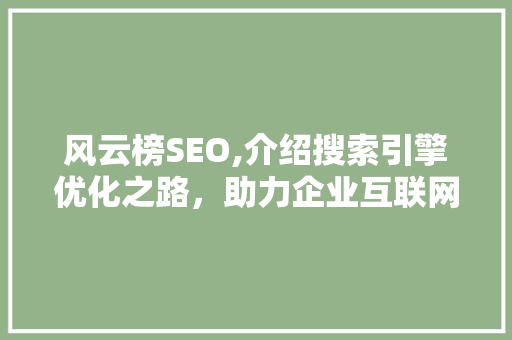风云榜SEO,介绍搜索引擎优化之路，助力企业互联网营销腾飞