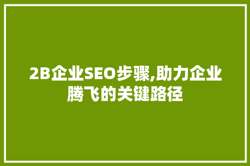 2B企业SEO步骤,助力企业腾飞的关键路径