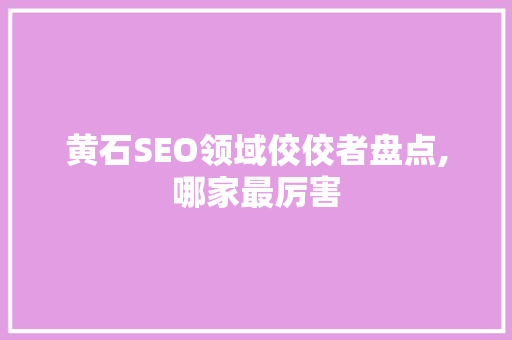 黄石SEO领域佼佼者盘点,哪家最厉害