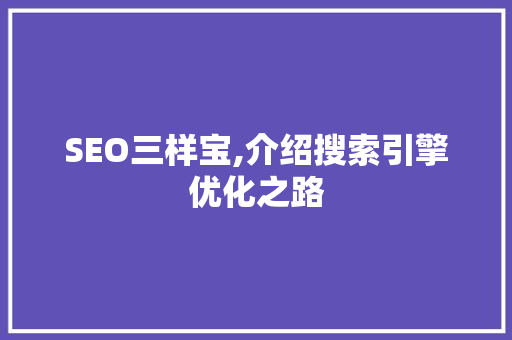 SEO三样宝,介绍搜索引擎优化之路