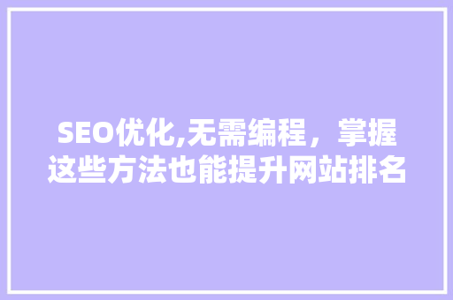 SEO优化,无需编程，掌握这些方法也能提升网站排名