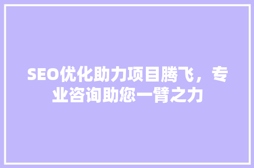 SEO优化助力项目腾飞，专业咨询助您一臂之力