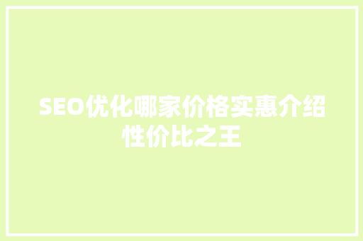 SEO优化哪家价格实惠介绍性价比之王
