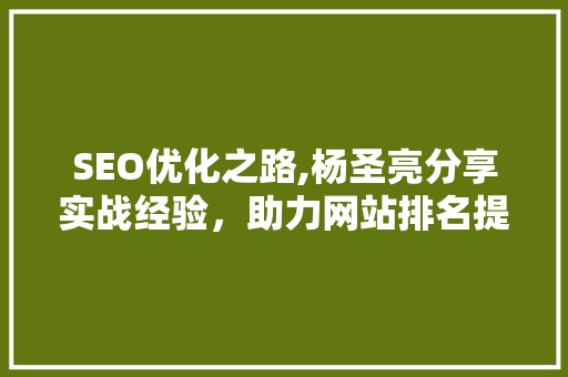 SEO优化之路,杨圣亮分享实战经验，助力网站排名提升