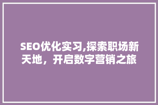 SEO优化实习,探索职场新天地，开启数字营销之旅