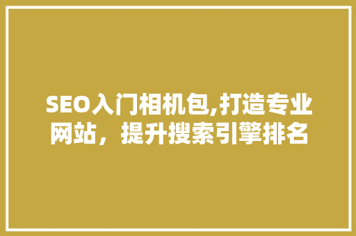 SEO入门相机包,打造专业网站，提升搜索引擎排名