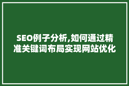 SEO例子分析,如何通过精准关键词布局实现网站优化