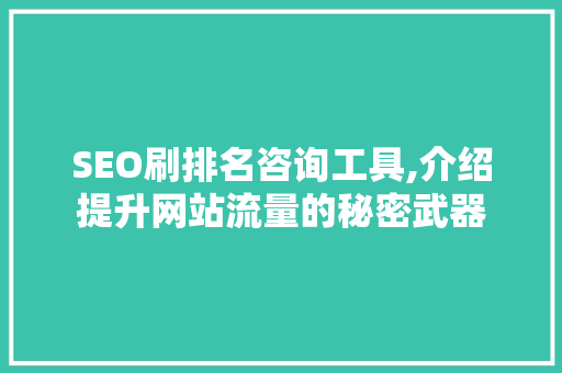 SEO刷排名咨询工具,介绍提升网站流量的秘密武器