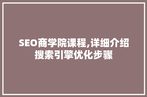 SEO商学院课程,详细介绍搜索引擎优化步骤