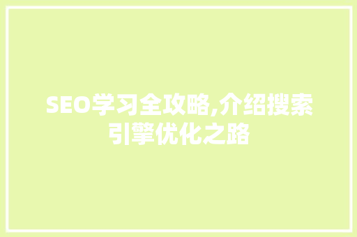 SEO学习全攻略,介绍搜索引擎优化之路