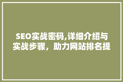 SEO实战密码,详细介绍与实战步骤，助力网站排名提升