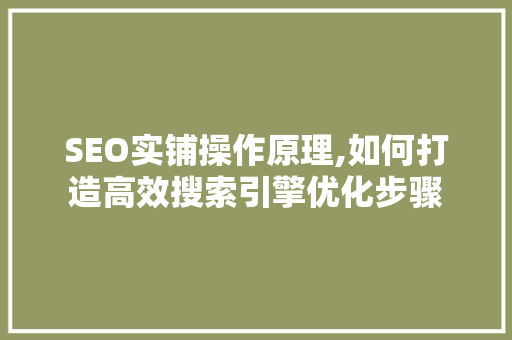 SEO实铺操作原理,如何打造高效搜索引擎优化步骤