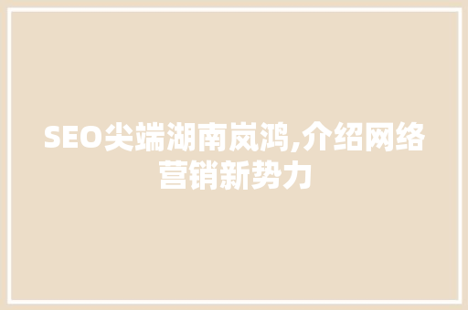 SEO尖端湖南岚鸿,介绍网络营销新势力