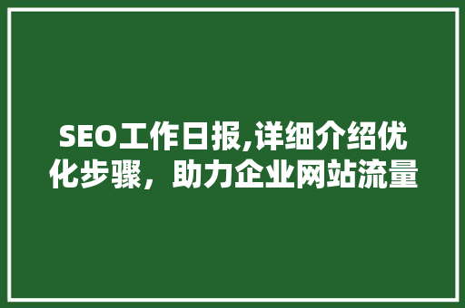 SEO工作日报,详细介绍优化步骤，助力企业网站流量提升
