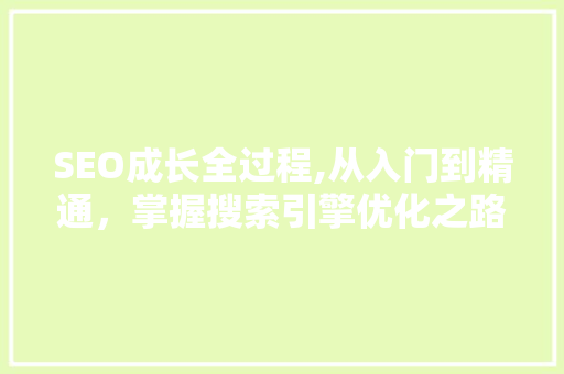 SEO成长全过程,从入门到精通，掌握搜索引擎优化之路