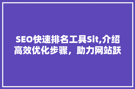 SEO快速排名工具Sit,介绍高效优化步骤，助力网站跃居搜索引擎前列