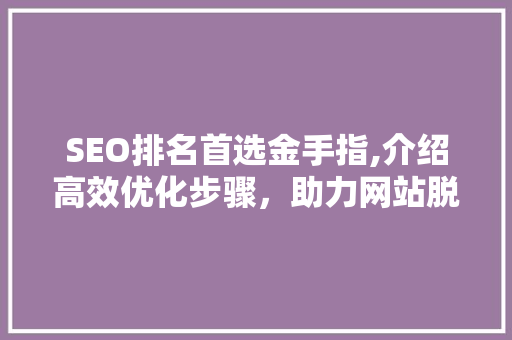SEO排名首选金手指,介绍高效优化步骤，助力网站脱颖而出