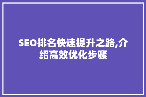 SEO排名快速提升之路,介绍高效优化步骤