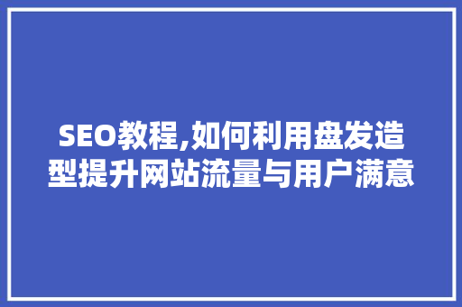 SEO教程,如何利用盘发造型提升网站流量与用户满意度