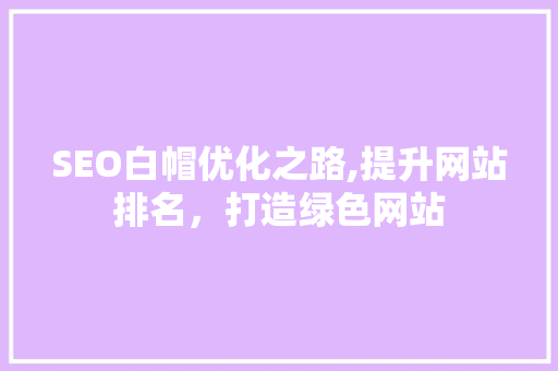 SEO白帽优化之路,提升网站排名，打造绿色网站