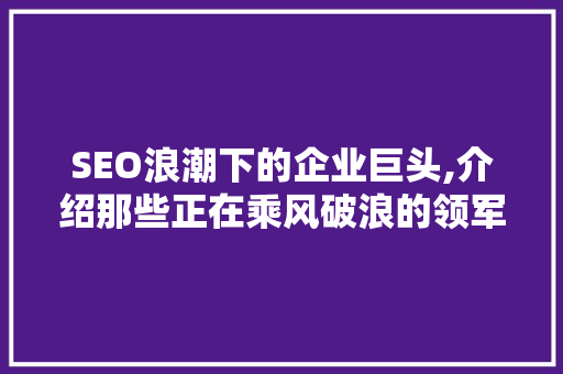 SEO浪潮下的企业巨头,介绍那些正在乘风破浪的领军者