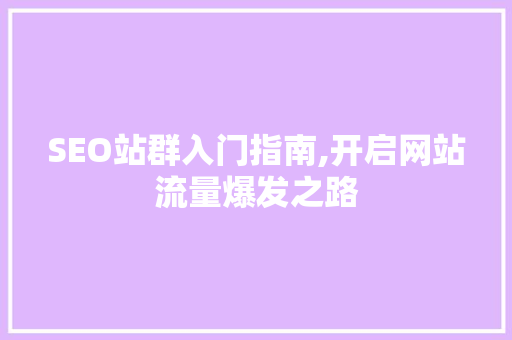 SEO站群入门指南,开启网站流量爆发之路