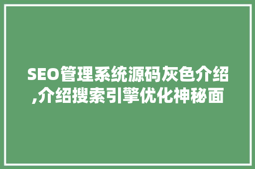 SEO管理系统源码灰色介绍,介绍搜索引擎优化神秘面纱