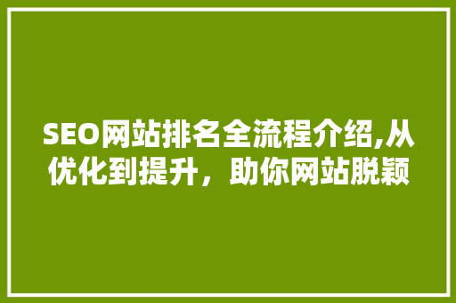 SEO网站排名全流程介绍,从优化到提升，助你网站脱颖而出