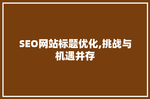 SEO网站标题优化,挑战与机遇并存