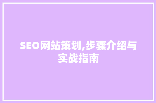 SEO网站策划,步骤介绍与实战指南