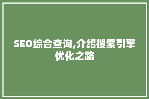 SEO综合查询,介绍搜索引擎优化之路