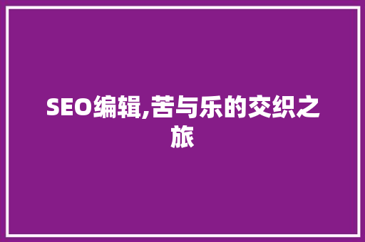 SEO编辑,苦与乐的交织之旅