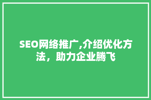SEO网络推广,介绍优化方法，助力企业腾飞