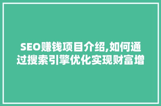 SEO赚钱项目介绍,如何通过搜索引擎优化实现财富增长