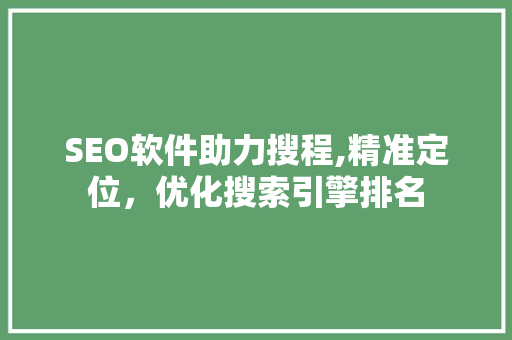 SEO软件助力搜程,精准定位，优化搜索引擎排名