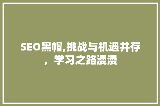 SEO黑帽,挑战与机遇并存，学习之路漫漫